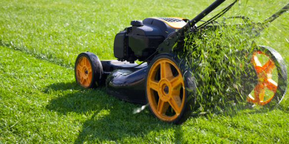 Mowing overgrown lawn with a residential mower
