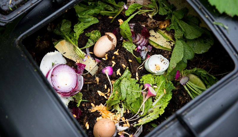 The Compost Pile Formula: 7 Essential Ingredients for a Successful Pile